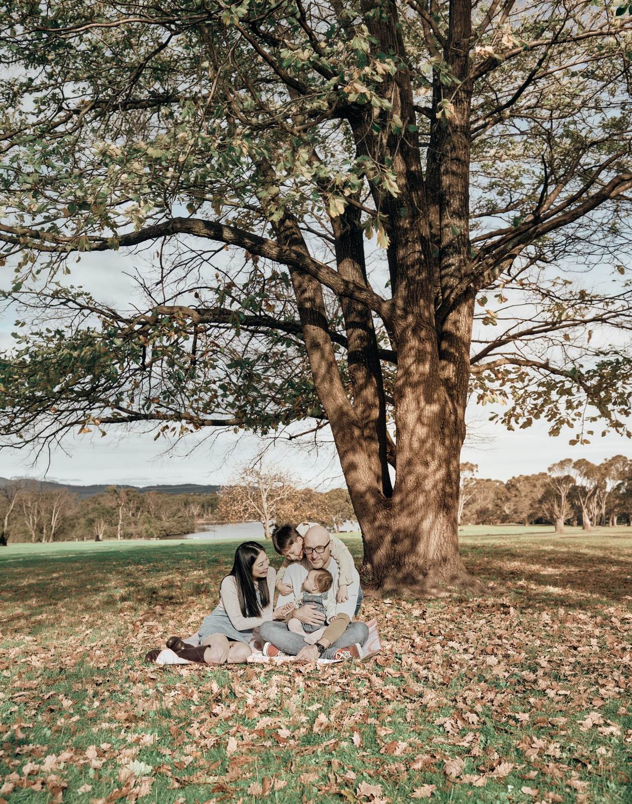 Family small beneath a huge tree in an autumn paddock