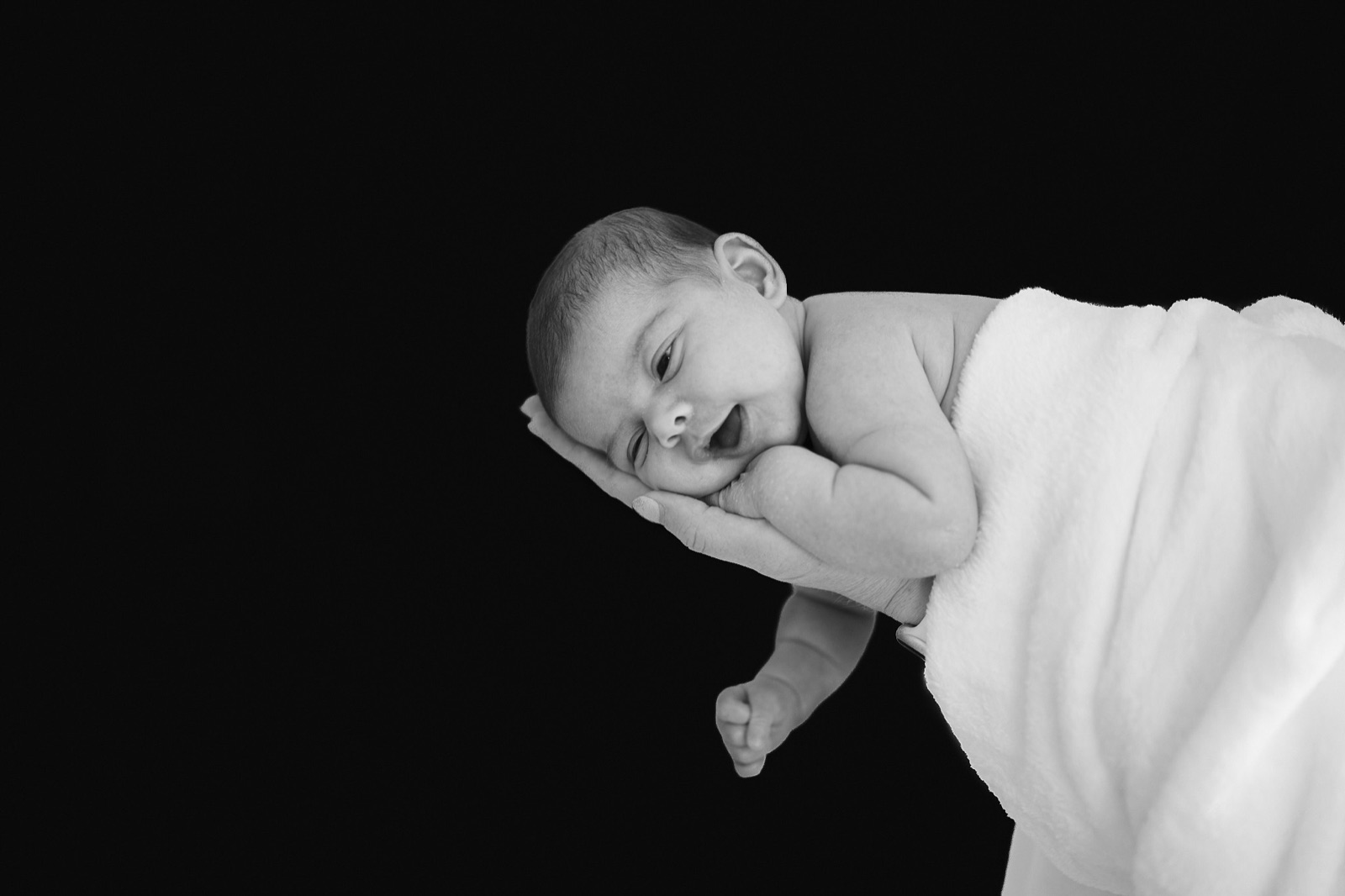 Fine art newborn portrait resting in a parent's hand on black