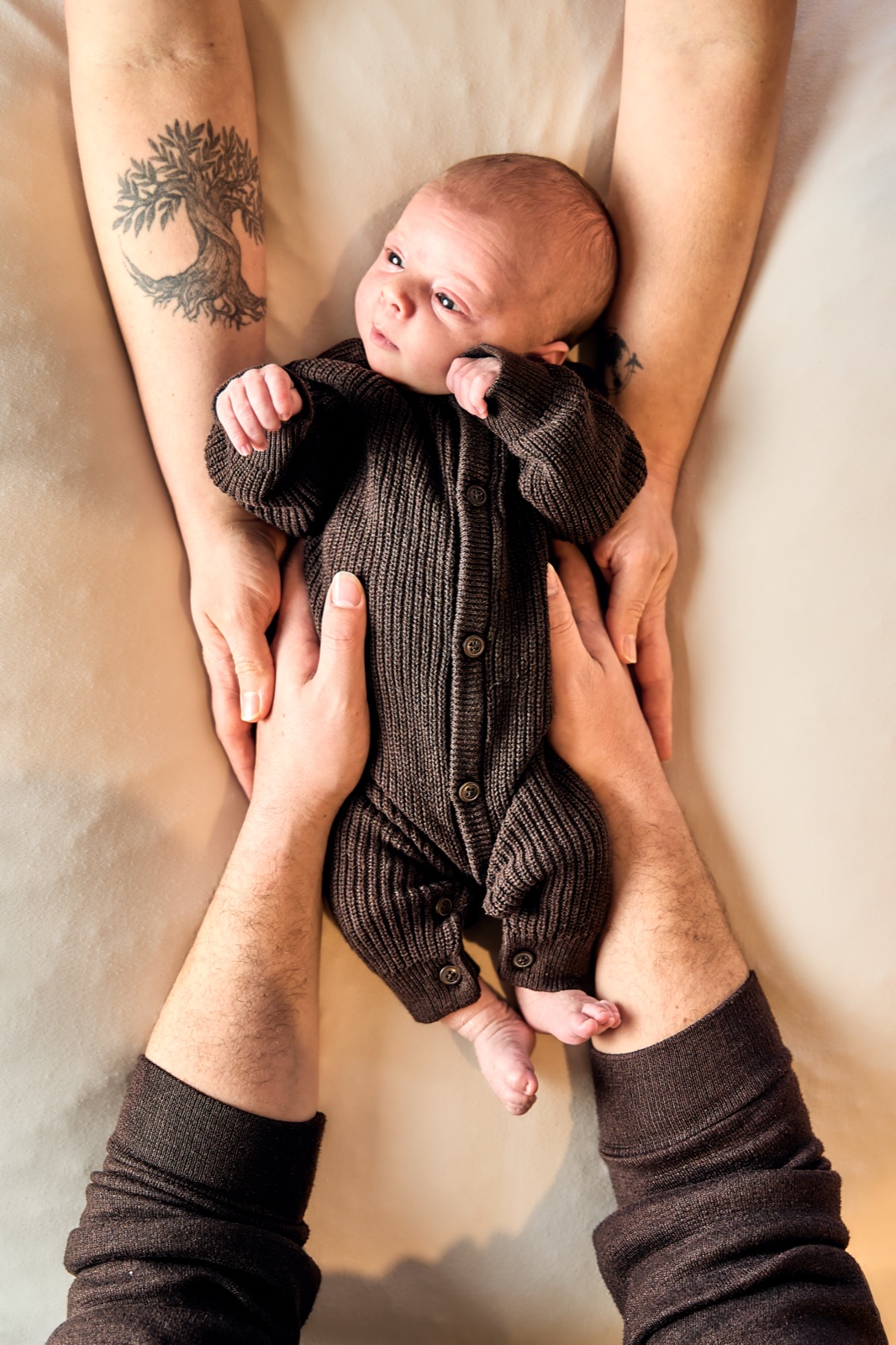 Newborn held in mum and dad's hands from above, dark backdrop