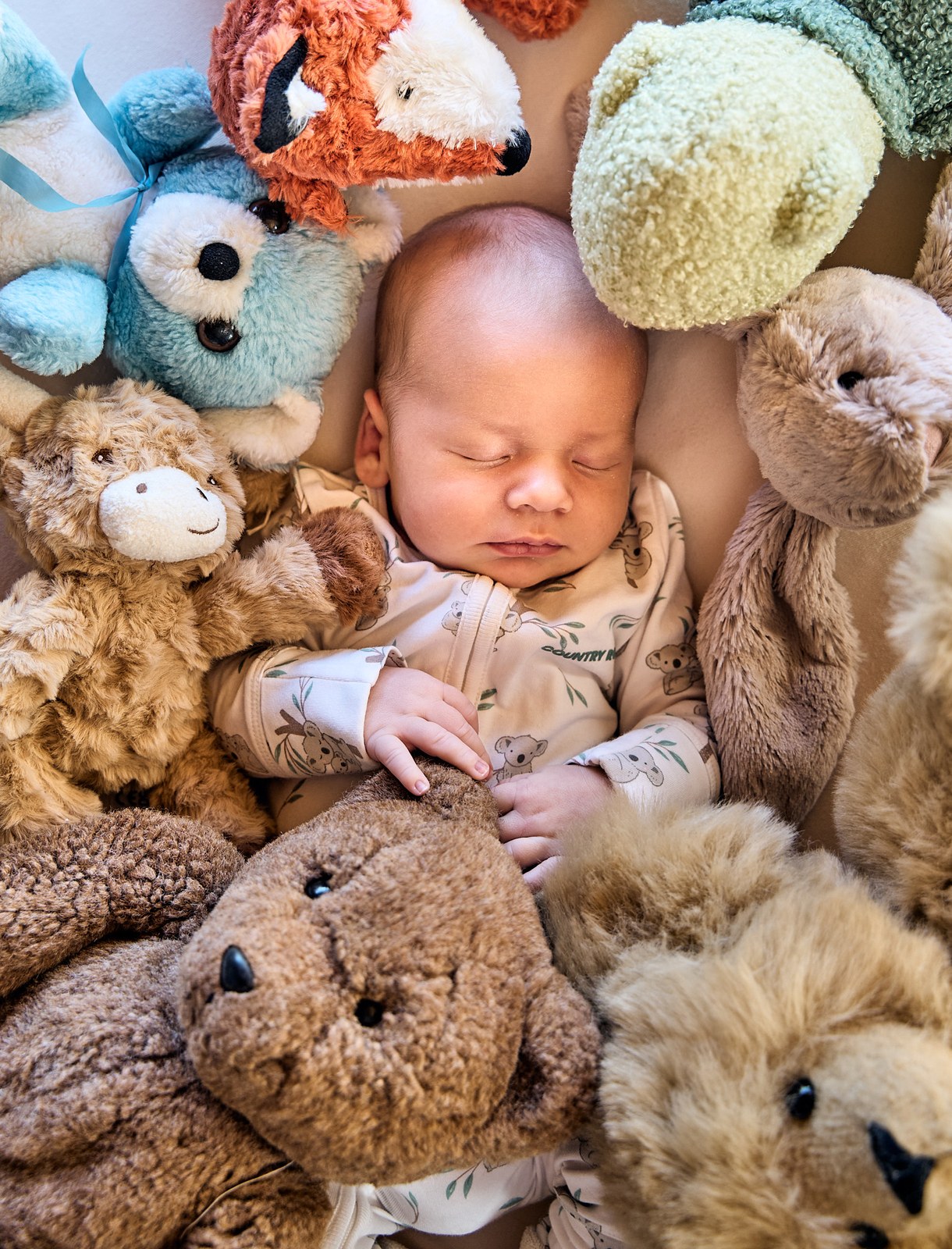 Newborn asleep in a nest of soft toys