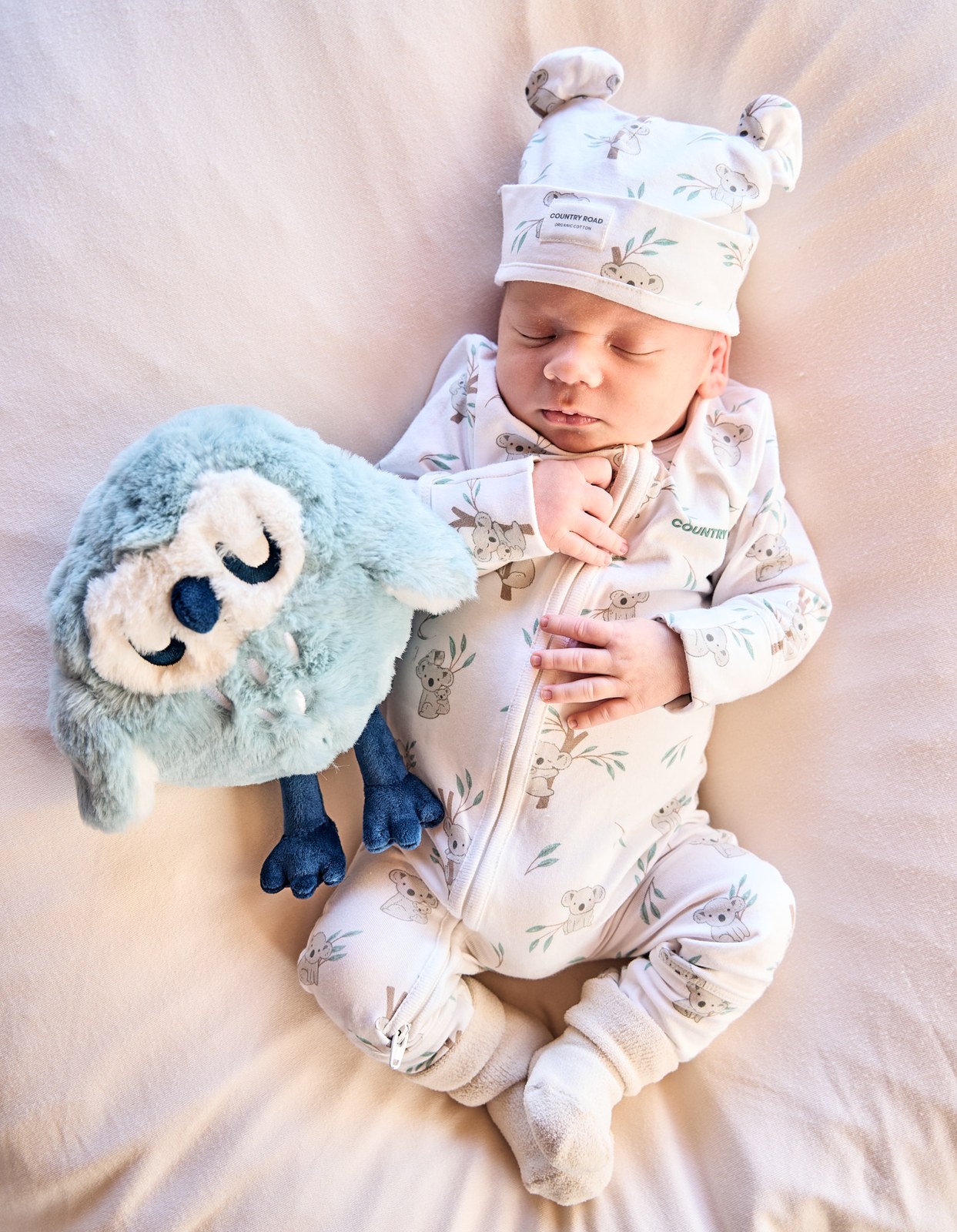 Newborn in a bear-ear hat asleep beside a plush owl