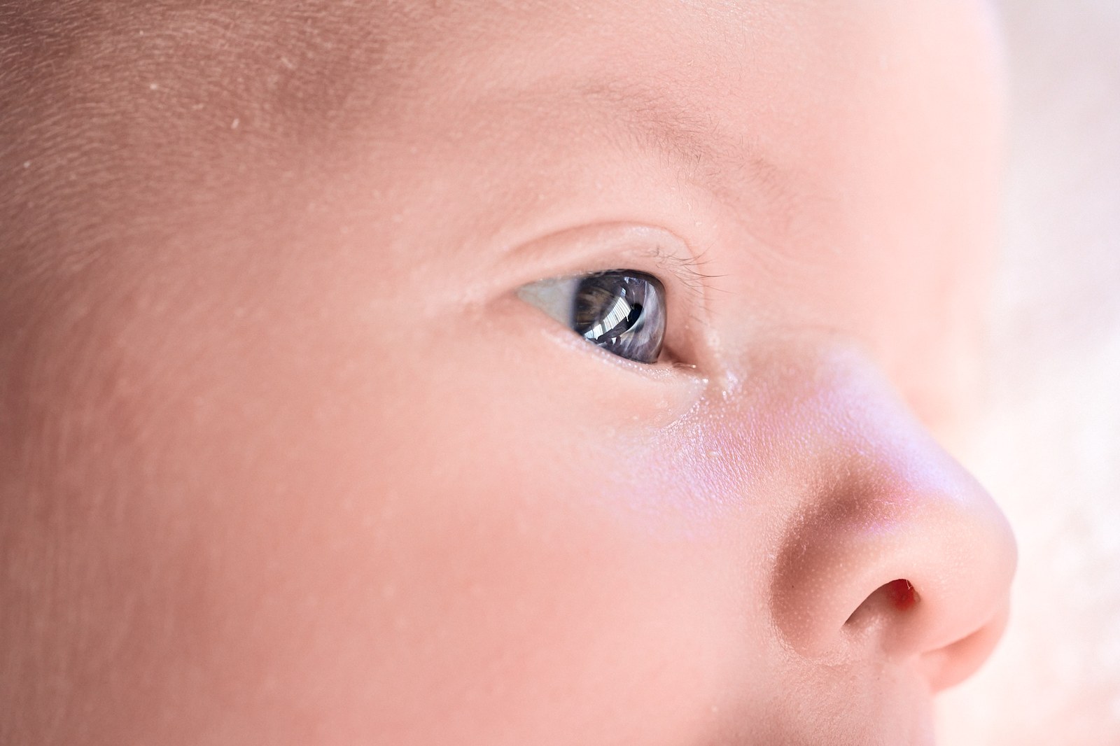 Very close portrait of a newborn's open eye